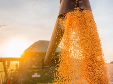 Imagem - Guerra faz fertilizantes nitrogenados aumentar 33% e deixa agro em alerta