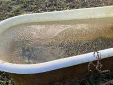 Imagem - O que diz a ciência sobre o banho gelado: susto no metabolismo prepara o corpo para a segunda-feira