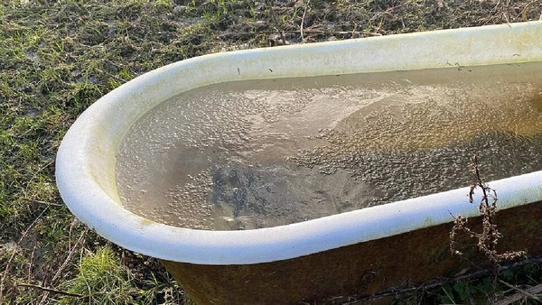 O frio deliberado virou aposta para acordar melhor, aumentar o alerta e treinar a tolerância ao desconforto