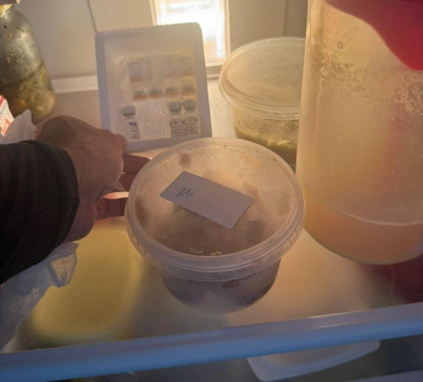 Operçaão contra venda ilegal de canetas emagrecedoras em Jequié (BA) por Divulgação