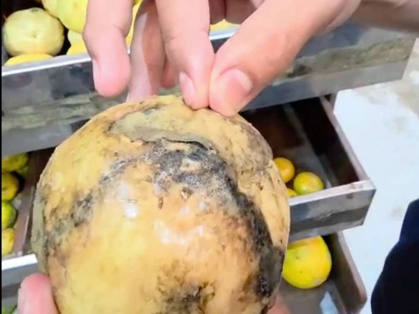 Supermercados são autuados no Ceará por Divulgação