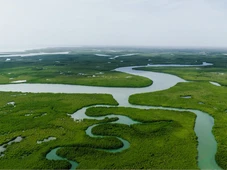 Imagem - Cidade perdida: tecnologia 3D revela metrópole sob a Amazônia