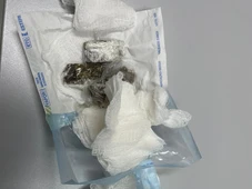 Imagem - Dentista é presa em flagrante por entrar com drogas em presídio na Bahia