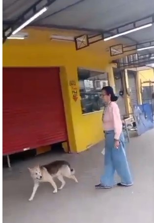 O estabelecimento foi interditado e tem 15 dias para regularizar a situação por Divulgação