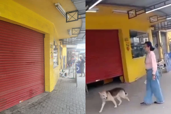 O estabelecimento foi interditado e tem 15 dias para regularizar a situação