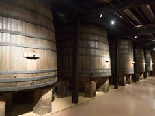 Imagem - O reggae antes de Jesus: descoberta de adega de 4 mil anos mudou o que os historiadores sabiam sobre as festas antigas