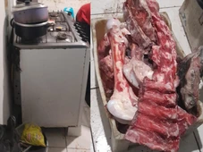 Imagem - FOTOS: Fiscalização interdita frigorífico e recolhe 80 kg de carne estragada