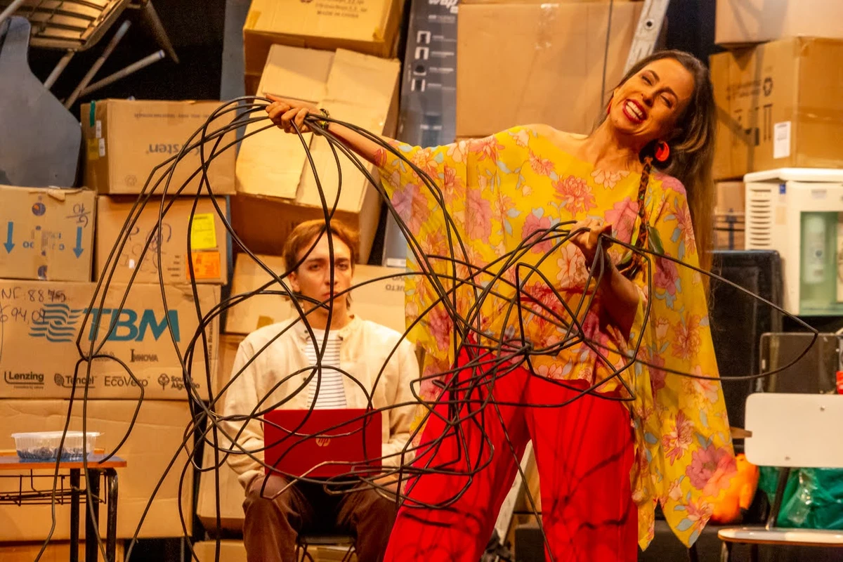 “A Revolta dos Pinguins” volta a Salvador com humor e reflexão sobre o sistema educacional por Divulgação