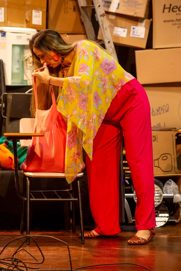 “A Revolta dos Pinguins” volta a Salvador com humor e reflexão sobre o sistema educacional por Divulgação