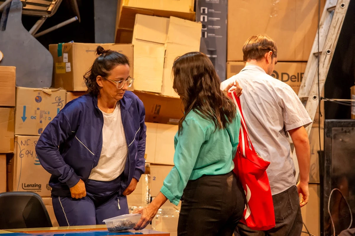 “A Revolta dos Pinguins” volta a Salvador com humor e reflexão sobre o sistema educacional por Divulgação