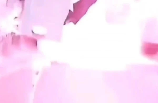 Acidente na ponte JK, em 22 de dezembro de 2024 por Reprodução