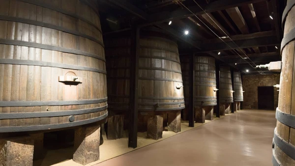 Uma jornada de 8 mil anos que transformou um antigo xarope na bebida mais celebrada do mundo: o vinho