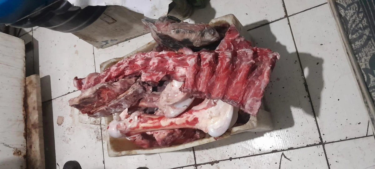 Vigilância Sanitária interdita mais um frigorífico em Maceió e apreende 80kg de carne deteriorada por Divulgação