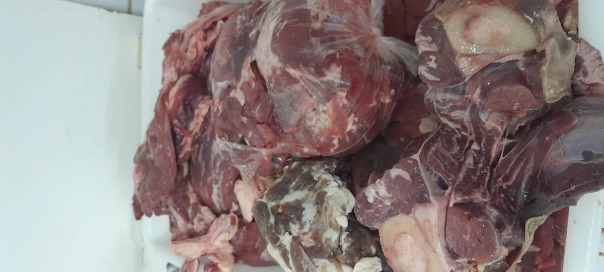 Vigilância Sanitária interdita mais um frigorífico em Maceió e apreende 80kg de carne deteriorada por Divulgação