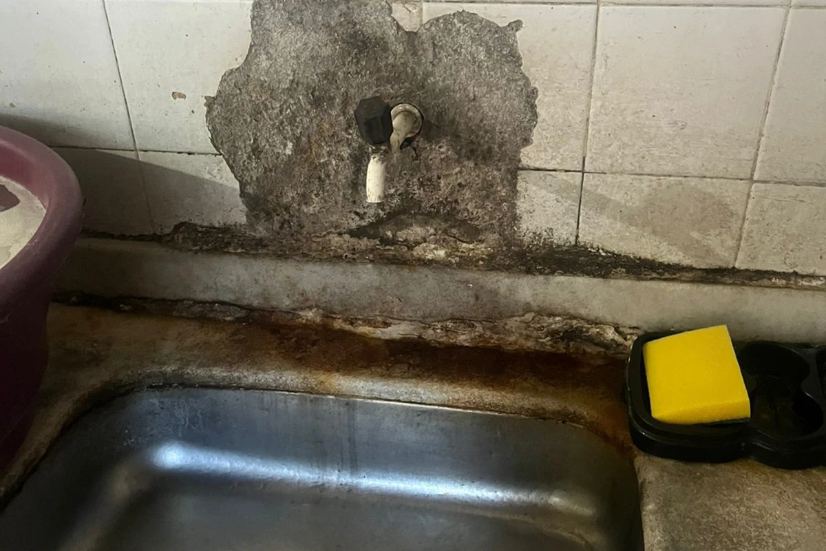 Vigilância Sanitária interdita lanchonete em Feira de Santana por Divulgação