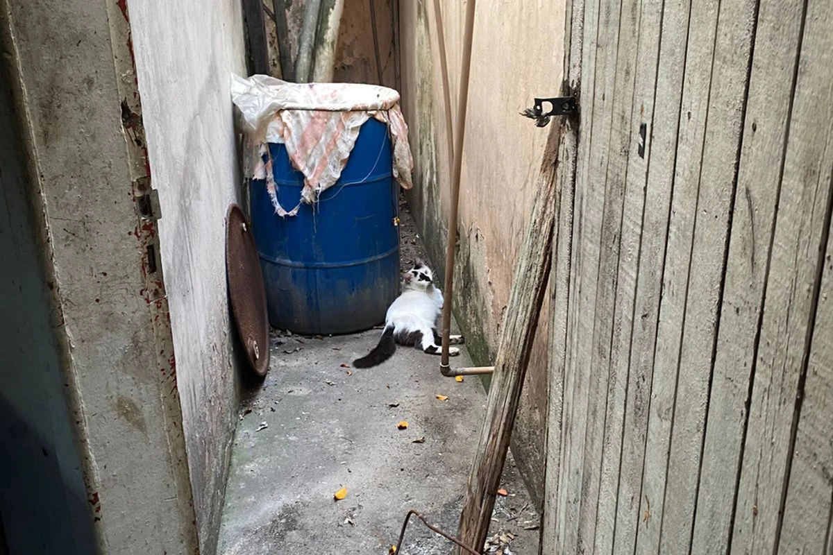 Vigilância Sanitária interdita lanchonete em Feira de Santana por Divulgação