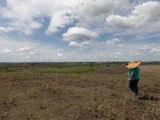 Imagem - Fevereiro teve registro de seca mais branda em quatro regiões do país