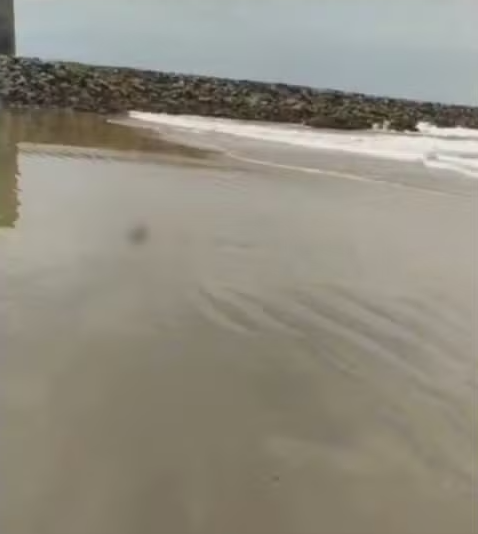 Esse é o terceiro caso de partes humanas que aparecem em praias do Ceará no mês de março por Reprodução