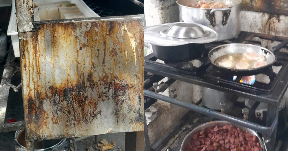 Imagem - Animais na cozinha: fábrica de quentinhas é interditada e multa pode chegar a R$ 38 mil