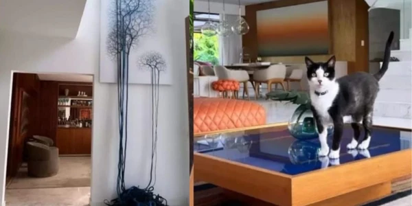 Mansão de Marina Ruy Barbosa por Reprodução