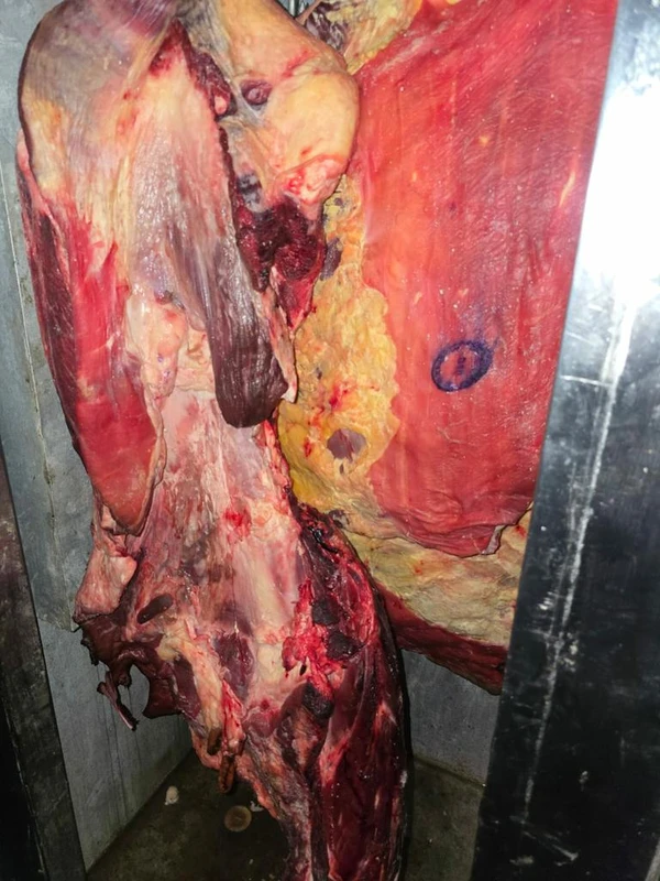 Fiscalização prendeu duas pessoas e interditou três estabelecimentos por Divulgação/MPRS