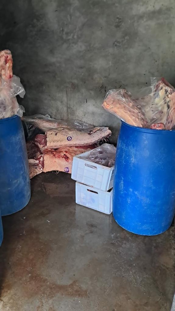 Fiscalização prendeu duas pessoas e interditou três estabelecimentos por Divulgação/MPRS