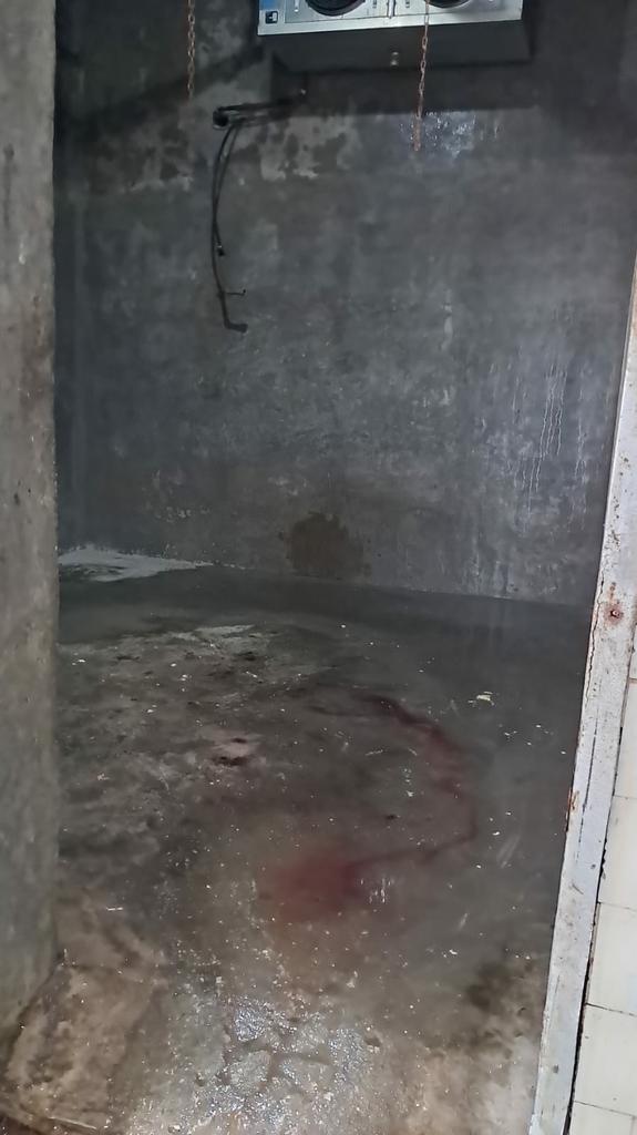 Fiscalização prendeu duas pessoas e interditou três estabelecimentos por Divulgação/MPRS