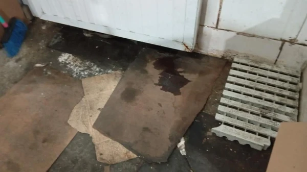 Fiscalização prendeu duas pessoas e interditou três estabelecimentos por Divulgação/MPRS