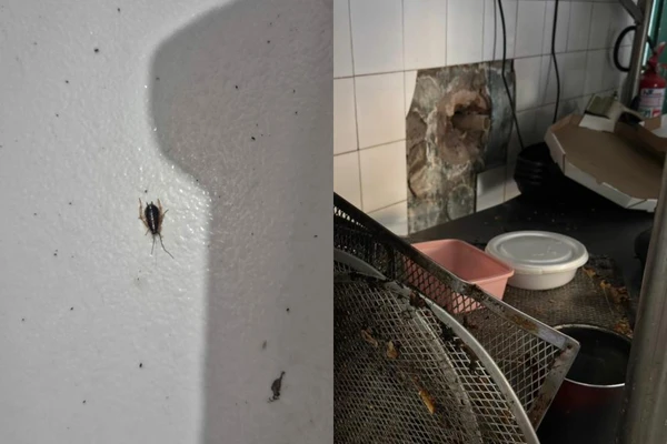 Fiscalização prendeu duas pessoas e interditou três estabelecimentos