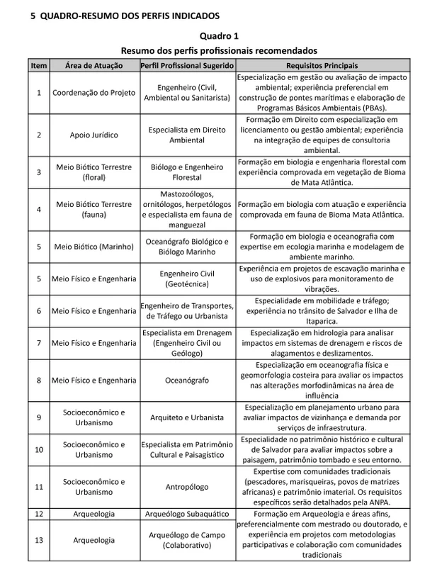 Recomendações do MPF para o contratação de profissionais para o projeto da ponte por Reprodução/MPF