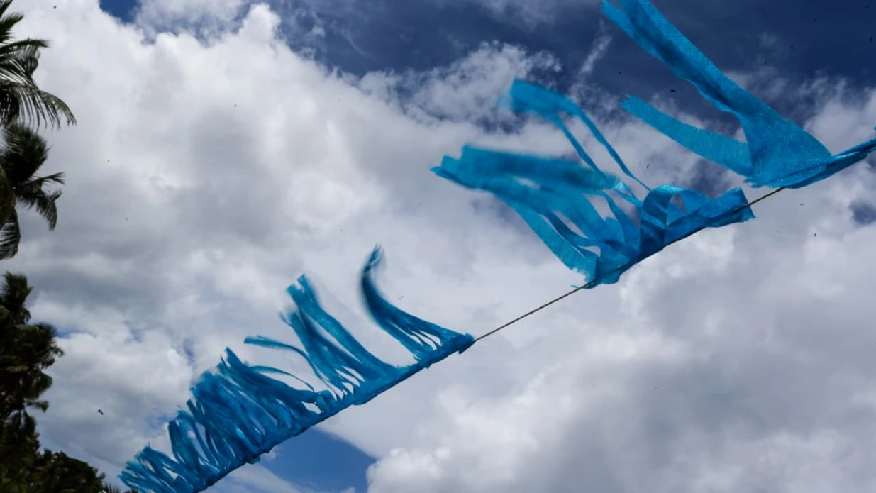 Imagem - ‘Que cheiro é esse?’: o que explica o odor incomum em Salvador nesta quarta-feira (25)