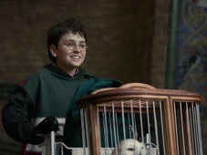 Imagem - De Harry Potter a Severo Snape, confira as primeiras imagens dos personagens na nova série da HBO