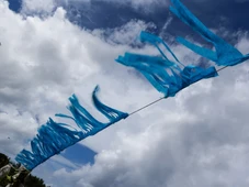 Imagem - ‘Que cheiro é esse?’: o que explica o odor incomum em Salvador nesta quarta-feira (25)