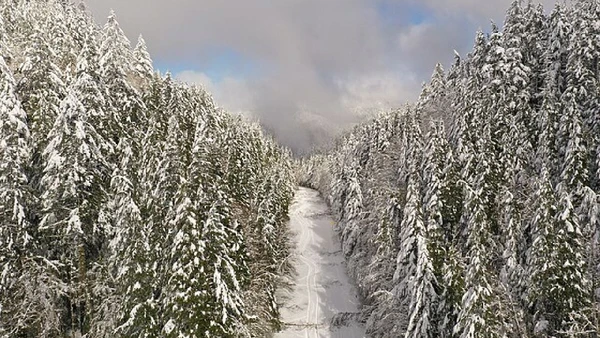 Duas dessas áreas foram monitoradas em profundidade por meio de três estações: uma próxima à Ilha de Vancouver e duas ao longo da costa do Oregon