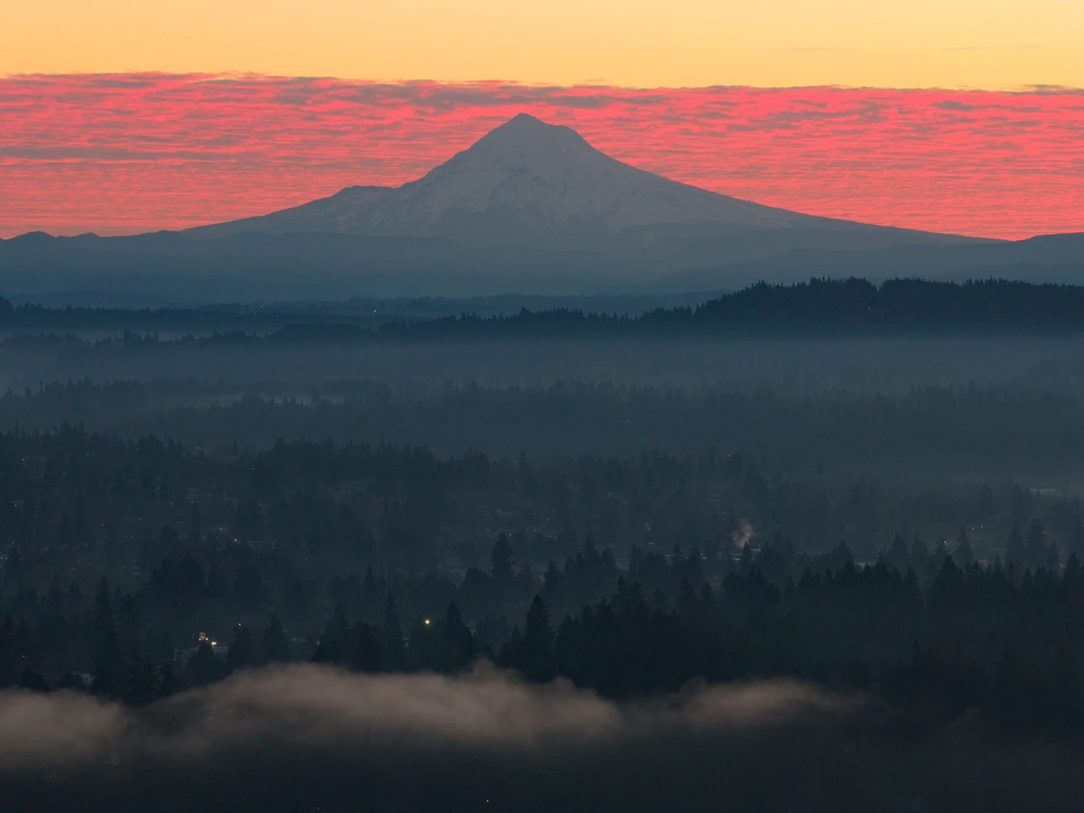 Paisagem florestal no estado de Oregon, nos EUA por Shutterstock