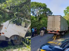 Imagem - Acidente deixa duas pessoas mortas após árvore cair em caminhão no meio de estrada na Bahia