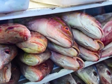Imagem - Comer carne vermelha na Sexta-feira Santa é pecado? Entenda as normas religiosas