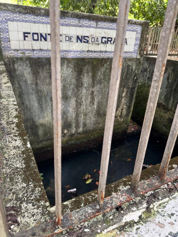 A Fonte Nossa Senhora da Graça foi construída pelo Caramuru e era usada por Catharina Paraguaçu. É a mais antiga da cidade por Thais Borges