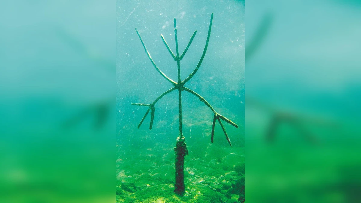 A imagem de Exu no fundo da Baía