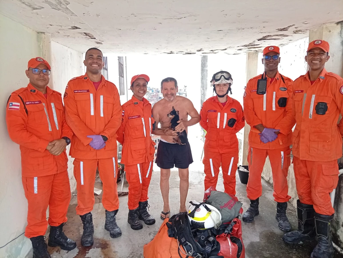 Cachorro foi resgatado após dois dias de desaparecimento por Divulgação