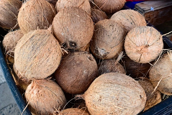 Mercados e Feiras Municipais montam cronograma especial para Semana Santa em Salvador por Jefferson Peixoto / Secom PMS
