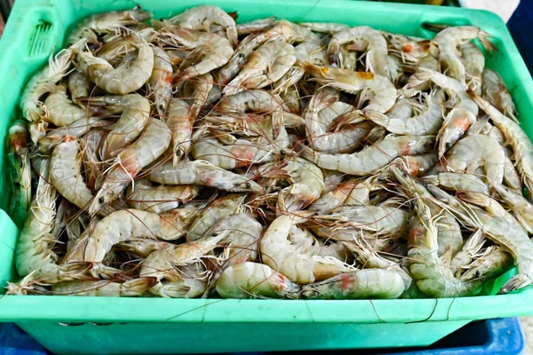 Mercados e Feiras Municipais montam cronograma especial para Semana Santa em Salvador por Jefferson Peixoto / Secom PMS
