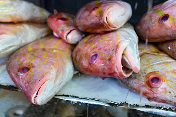 Mercados e Feiras Municipais montam cronograma especial para Semana Santa em Salvador por Jefferson Peixoto / Secom PMS