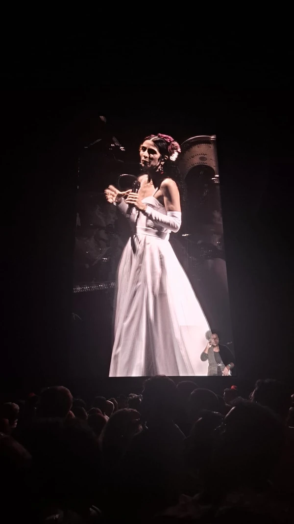 Marisa Monte na Arena Fonte Nova por Bruno Wendel/CORREIO