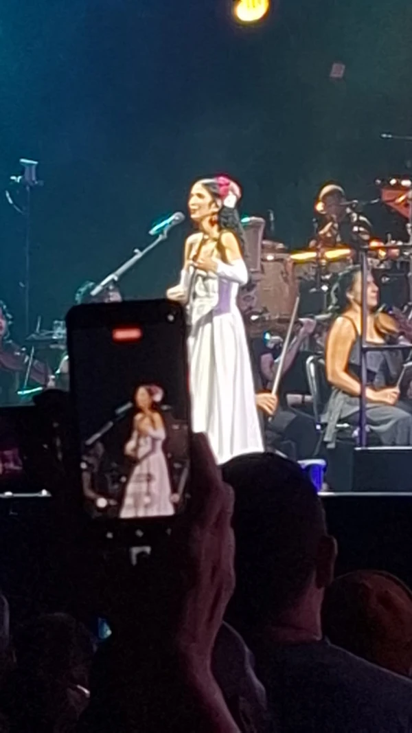 Marisa Monte na Arena Fonte Nova por Bruno Wendel/CORREIO