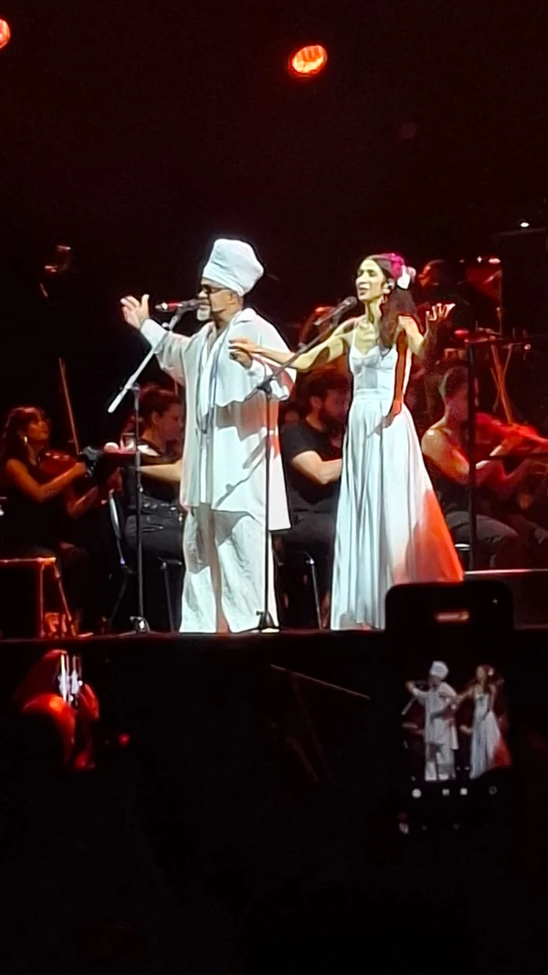 Marisa Monte na Arena Fonte Nova por Bruno Wendel/CORREIO