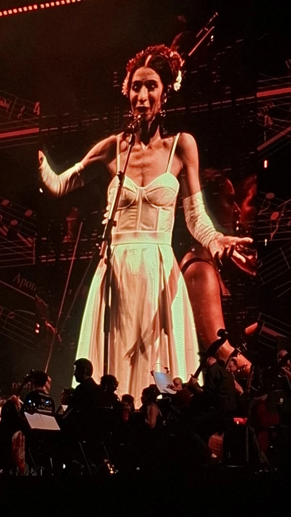 Marisa Monte na Arena Fonte Nova por Bruno Wendel/CORREIO