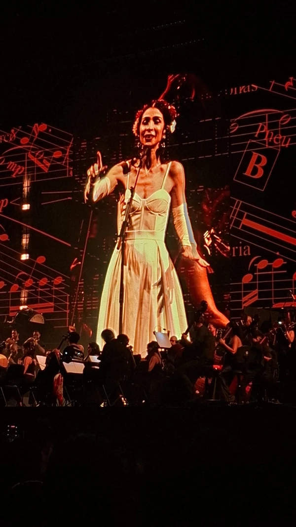 Marisa Monte na Arena Fonte Nova por Bruno Wendel/CORREIO