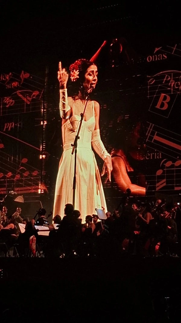 Marisa Monte na Arena Fonte Nova por Bruno Wendel/CORREIO