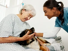Imagem - Nova lei autoriza entrada de animais de estimação em hospitais de Salvador